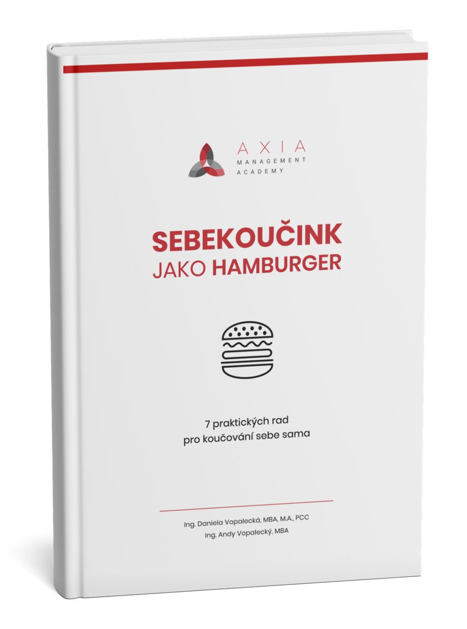 Sebekoučink jako hamburger